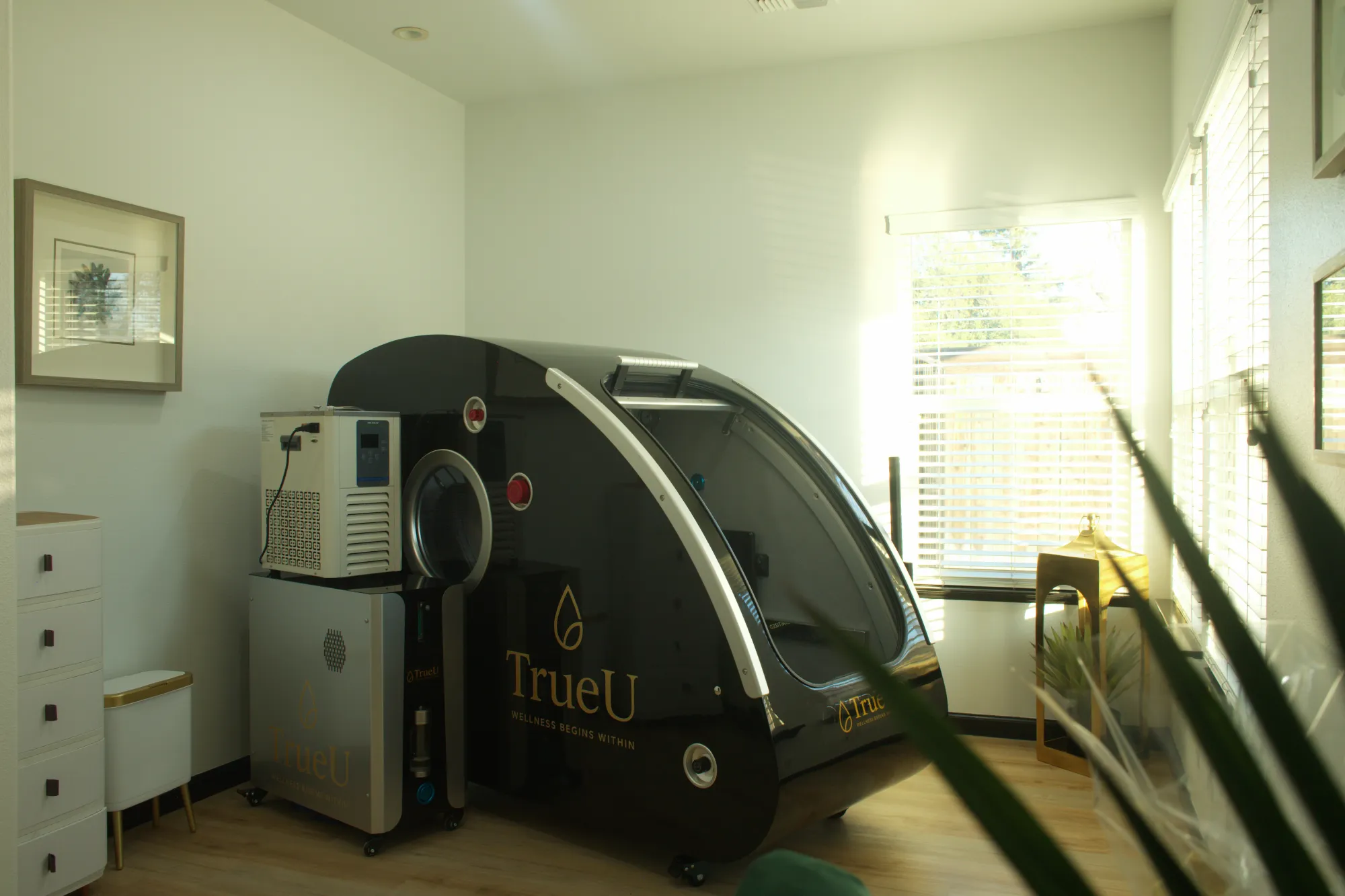 Hyperbaric Oxygen Therapy at TrueU Wellness in Chico, California